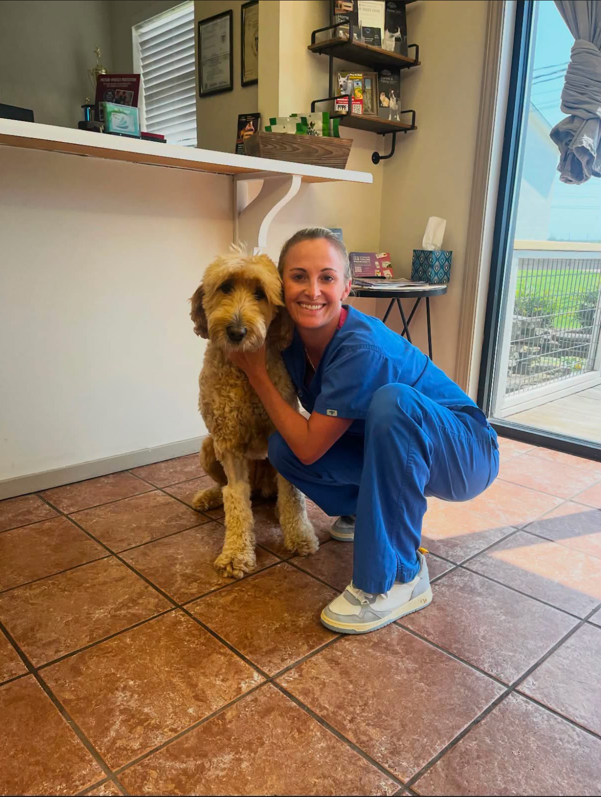 Expert veterinary care by Ward Veterinary Services in Tupelo, MS.